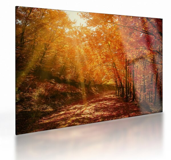 Staklena slika jesenske šume (70x50 cm)