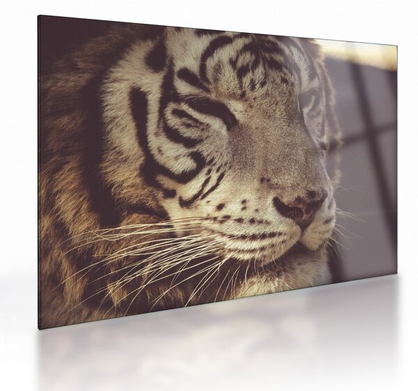 Staklena slika tigra (70x50 cm)
