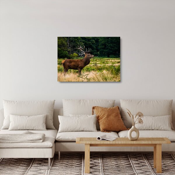 Staklena slika jelena (70x50 cm)