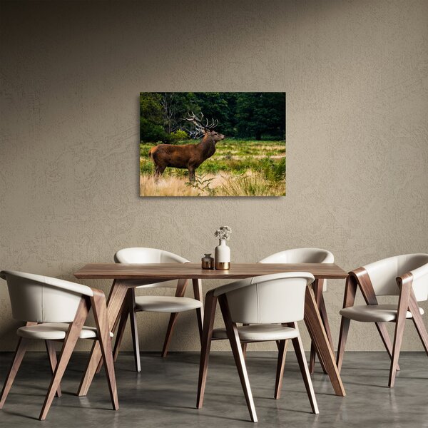 Staklena slika jelena (70x50 cm)