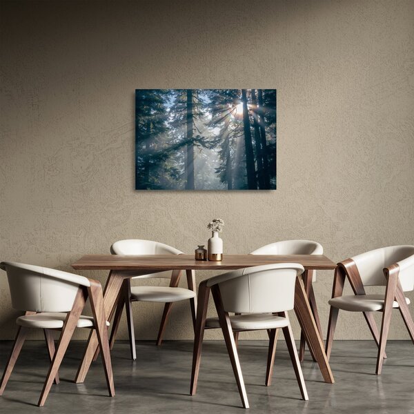 Staklena slika drveća sa sunčevim zracima (70x50 cm)