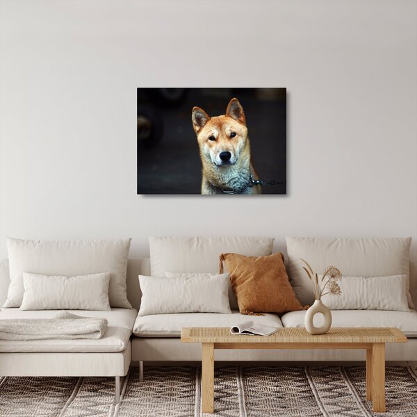 Staklena slika psa (70x50 cm)
