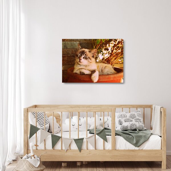 Staklena slika mačke u loncu (70x50 cm)
