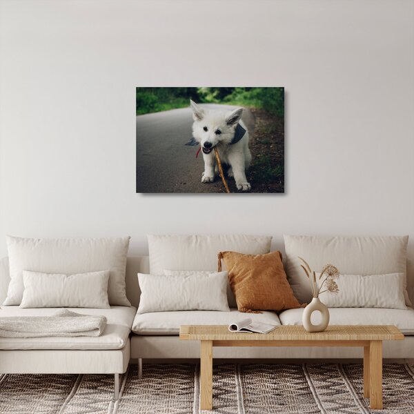 Staklena slika bijelog psa (70x50 cm)