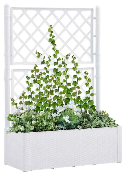 Povišena gredica - Vrtna gredica s rešetkom i samozalijevanjem bijela - Bijela 100 x 43 x 142 cm 1 1