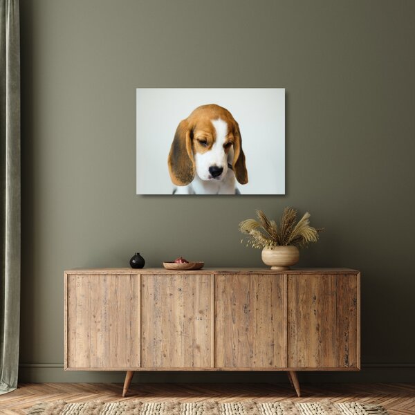 Staklena slika Bigla (70x50 cm)