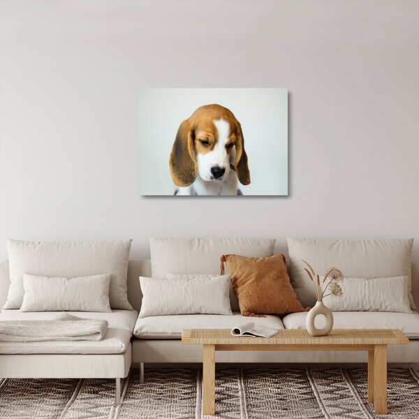 Staklena slika Bigla (70x50 cm)