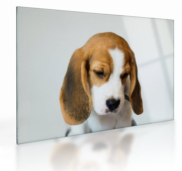 Staklena slika Bigla (70x50 cm)