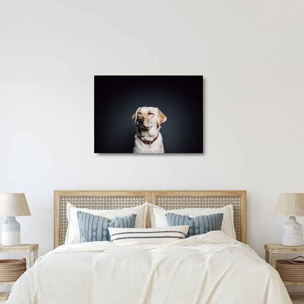 Staklena slika labradora (70x50 cm)