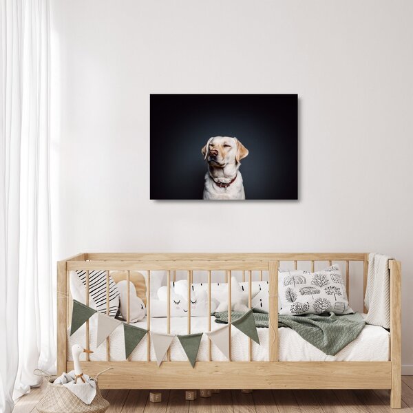 Staklena slika labradora (70x50 cm)