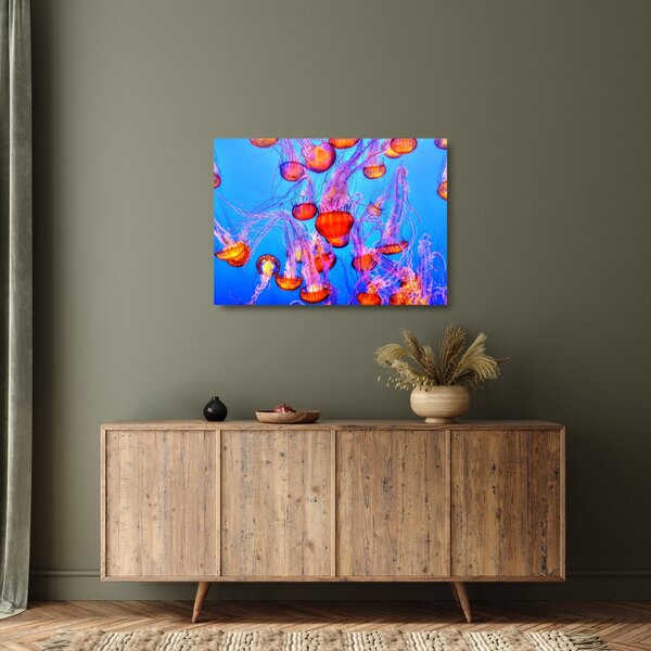 Staklena slika meduza u moru (70x50 cm)