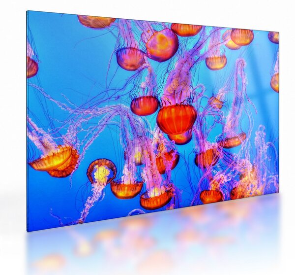 Staklena slika meduza u moru (70x50 cm)