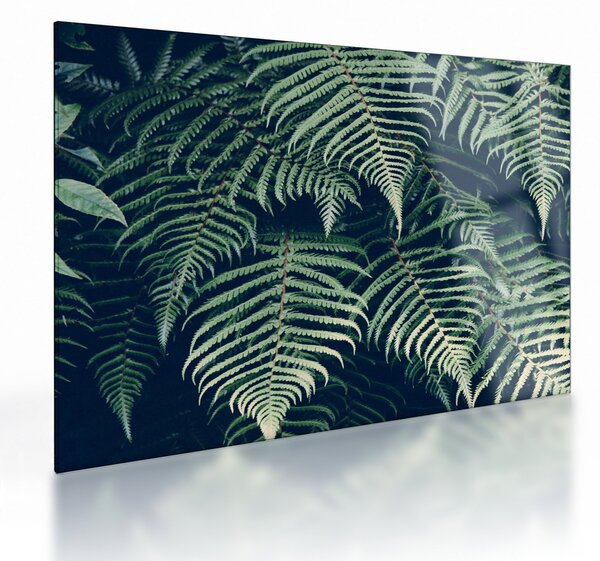 Staklena slika lišća paprati (70x50 cm)