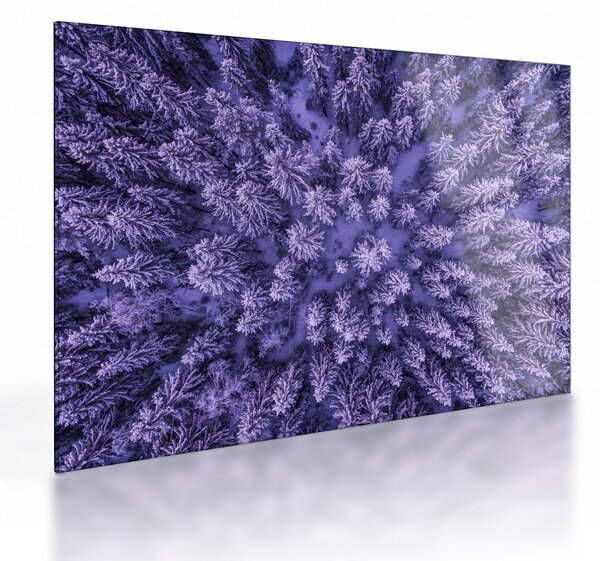 Staklena slika snježnih stabala (70x50 cm)