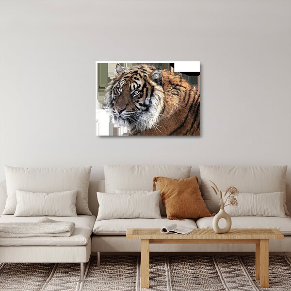 Staklena slika tigra (70x50 cm)