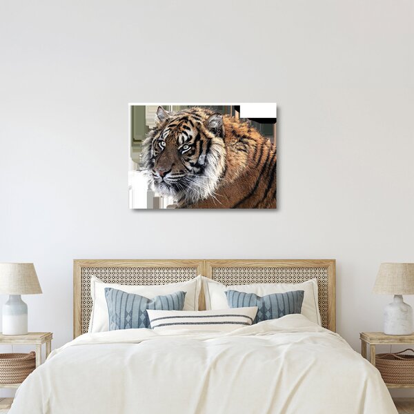 Staklena slika tigra (70x50 cm)