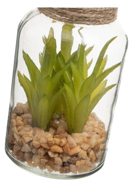 Umjetne biljke u setu 4 kom (visina 12 cm) Cactus – Casa Selección