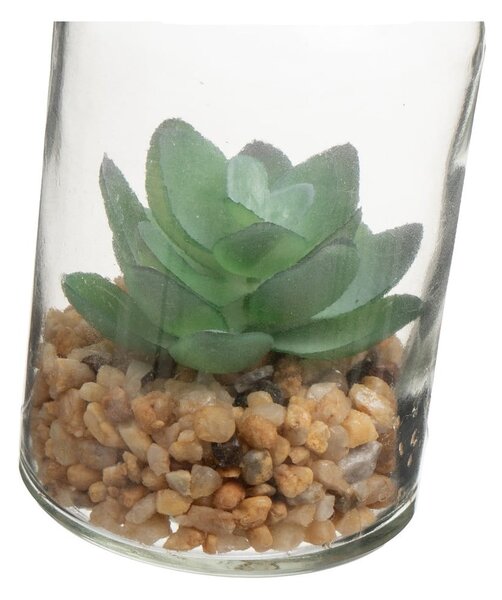 Umjetne biljke u setu 4 kom (visina 12 cm) Cactus – Casa Selección