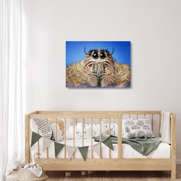 Staklena slika detalja pauka (70x50 cm)