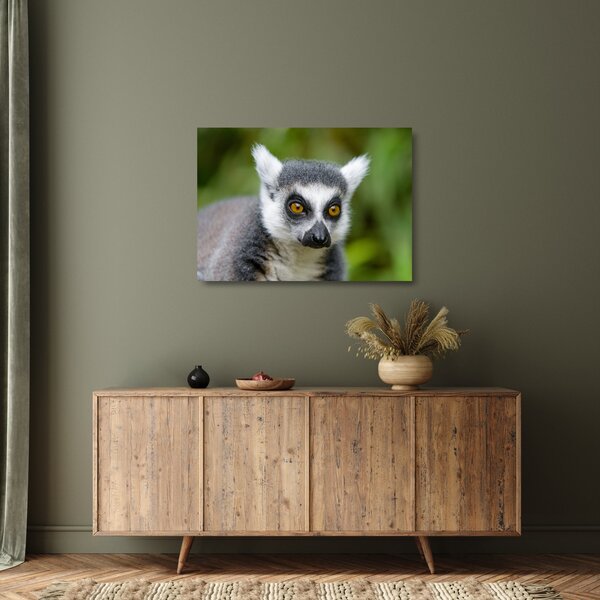 Staklena slika lemura (70x50 cm)