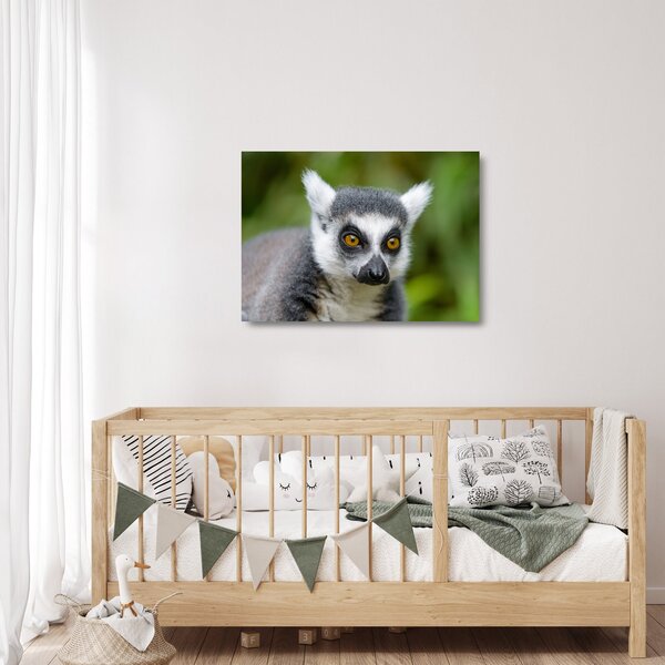 Staklena slika lemura (70x50 cm)