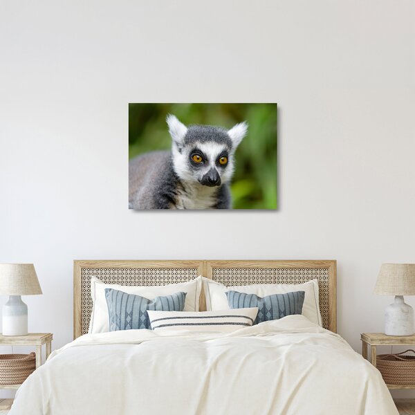 Staklena slika lemura (70x50 cm)