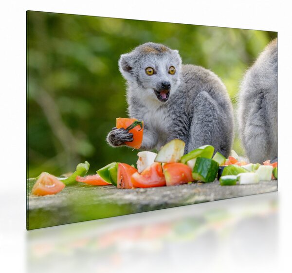Staklena slika lemura (70x50 cm)