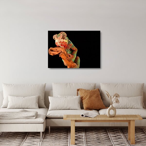 Staklena slika kameleona na grani (70x50 cm)