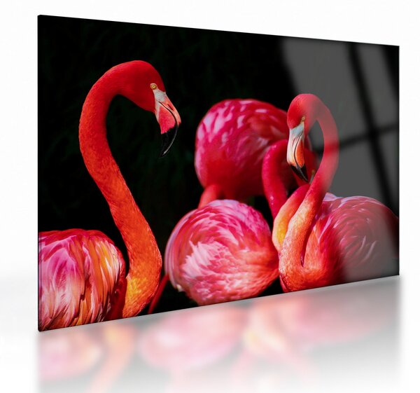 Staklena slika crvenih flaminga (70x50 cm)