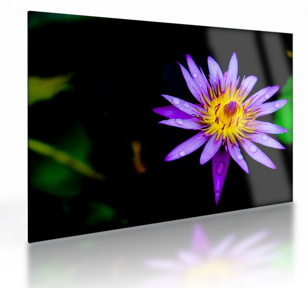Staklena slika cvijeta (70x50 cm)