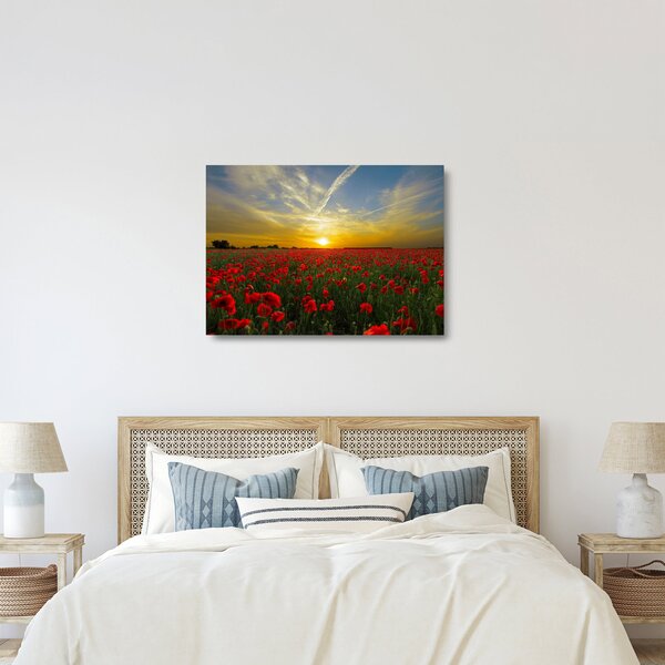 Staklena slika polja maka (70x50 cm)