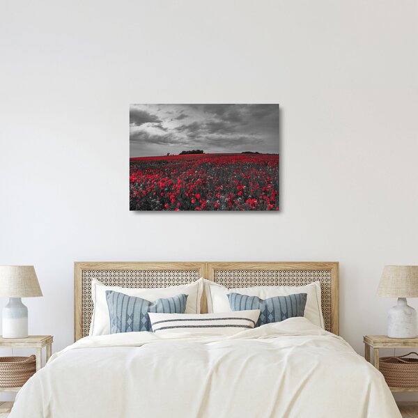 Staklena slika makova (70x50 cm)