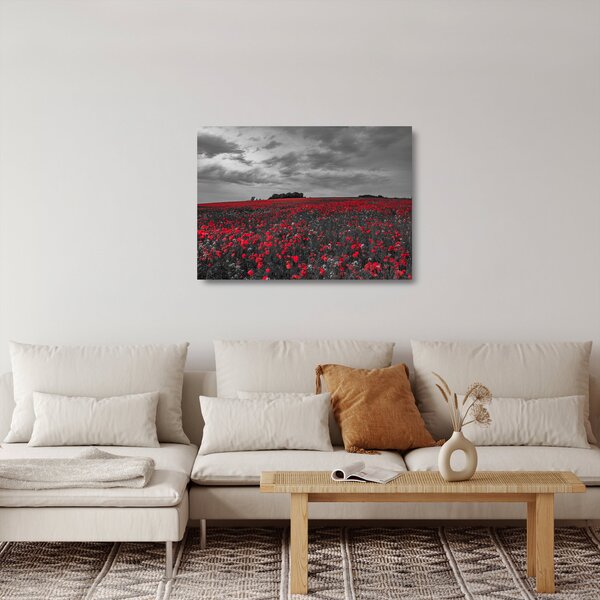 Staklena slika makova (70x50 cm)