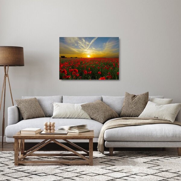 Staklena slika polja maka (70x50 cm)