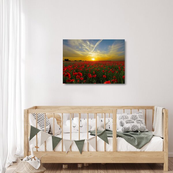 Staklena slika polja maka (70x50 cm)