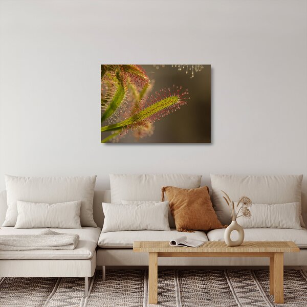 Staklena slika biljke (70x50 cm)