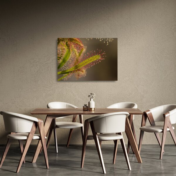 Staklena slika biljke (70x50 cm)