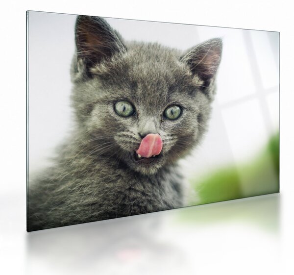 Staklena slika mačića koji se liže (70x50 cm)