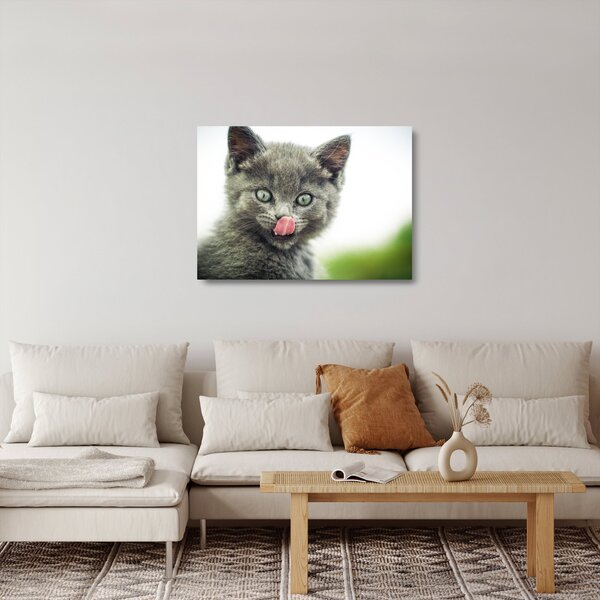 Staklena slika mačića koji se liže (70x50 cm)