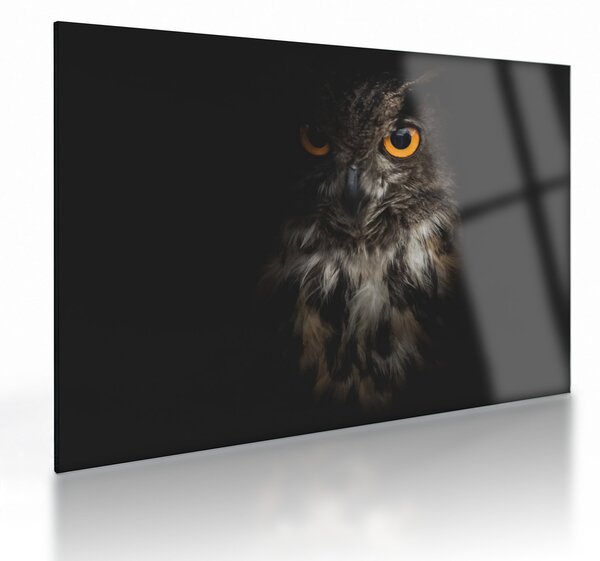 Staklena slika sove (70x50 cm)
