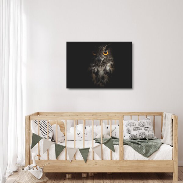 Staklena slika sove (70x50 cm)