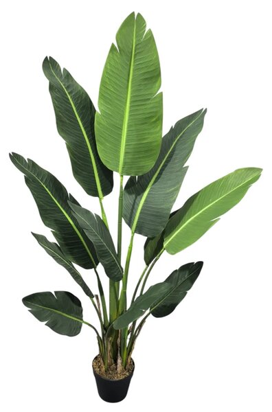 Umjetna strelicija 150 cm Kimberley - 121 - 150 cm