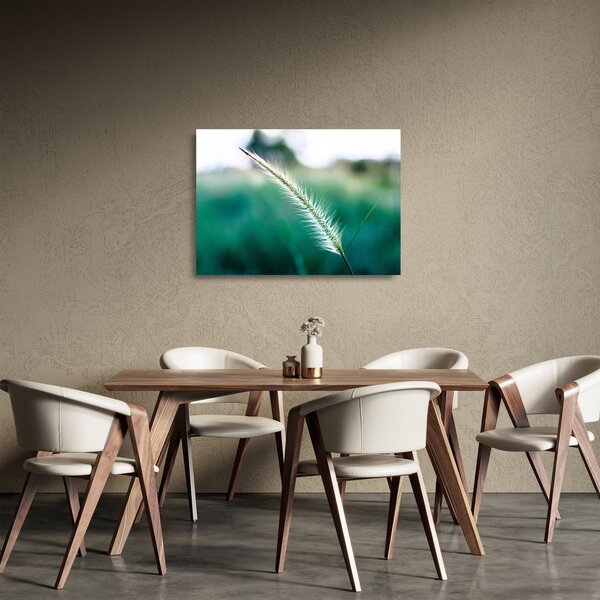 Staklena slika vlati trave (70x50 cm)