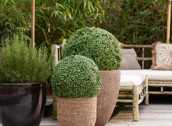 Umjetni Buxus 38 cm kugla šimšir sa UV zaštitom - 31 - 50 cm