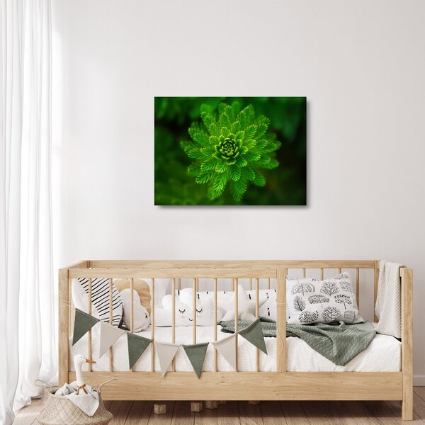 Staklena slika četinjača (70x50 cm)