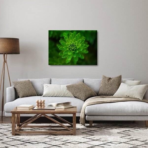 Staklena slika četinjača (70x50 cm)