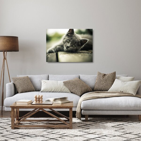 Staklena slika mačića (70x50 cm)