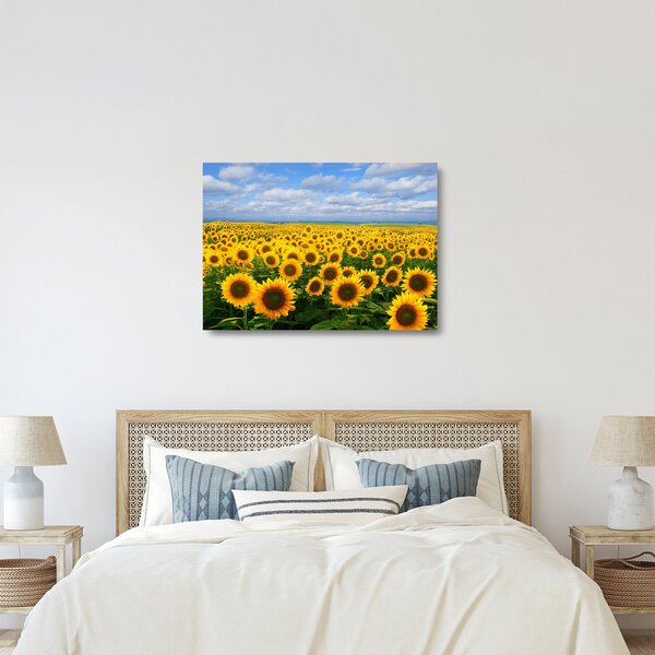 Staklena slika polja suncokreta (70x50 cm)