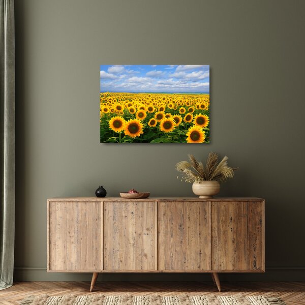 Staklena slika polja suncokreta (70x50 cm)