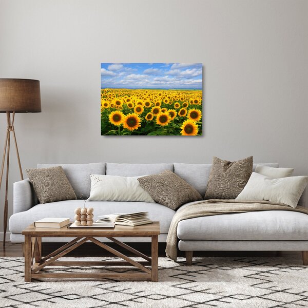 Staklena slika polja suncokreta (70x50 cm)